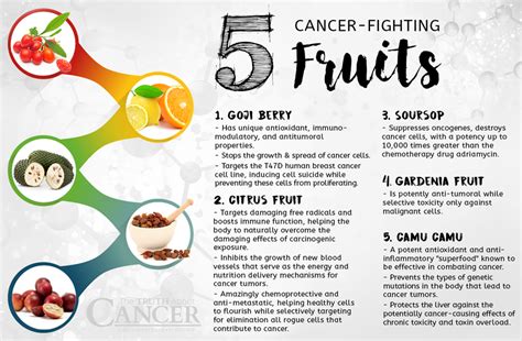 The Top 5 Cancer Fighting Healthy Fruits You Should Be Eating