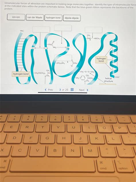 Solved Intramolecular Forces Of Attraction Are Important In Chegg