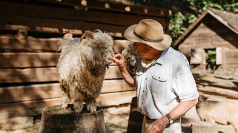 Goats on Barrels! | Atlanta History Center