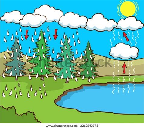 22 Rain Forms Clouds Diagram Images, Stock Photos & Vectors | Shutterstock