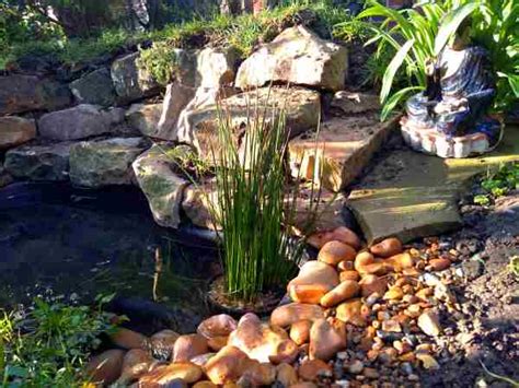 Make a wild pond | Urban Wild Garden