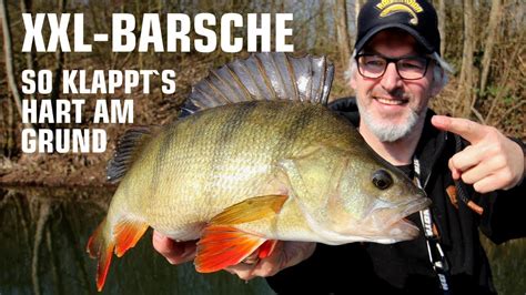 Barschangeln so fängst du XXL Barsche mit Gummifischen YouTube