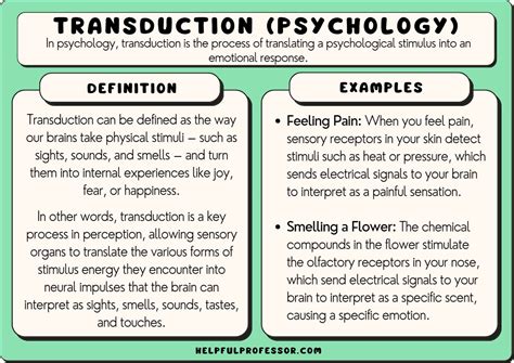 Transduction (Psychology): 10 Examples and Definition (2025)