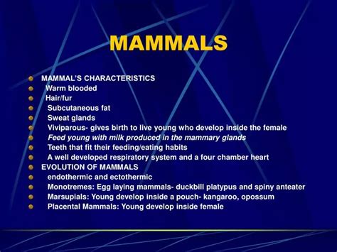 Ppt Mammals Powerpoint Presentation Free Download Id 594109