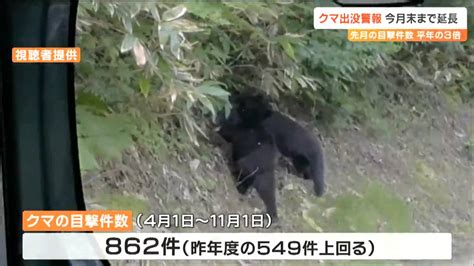 「クマ出没警報」11月末まで延長 目撃件数は平年の“3倍” 冬眠前にエサ求め人里に下りてくることも 宮城 Tbc東北放送 Goo ニュース