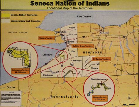 Food Is Our Medicine Seneca Nation New York From Garden Warriors To