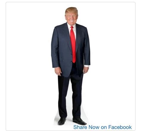 Donald Trump Life Sized Cardboard Cutout Free Shipping Etsy