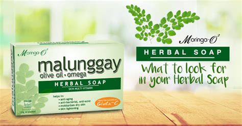 Moringa O2 Herbal Soap What To Look For In Your Soap