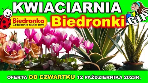 BIEDRONKA Oferta Od Czwartku 12 10 2023 Kwiaty W Domu YouTube