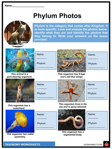 Organism Examples For Kids