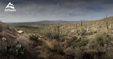 Best Trails in Pusch Ridge Wilderness - Arizona | AllTrails