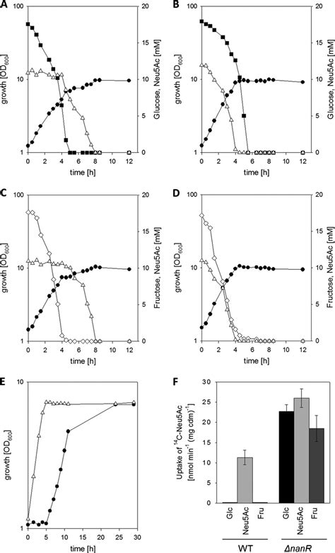 A To D Growth And Substrate Consumption In Minimal Medium With