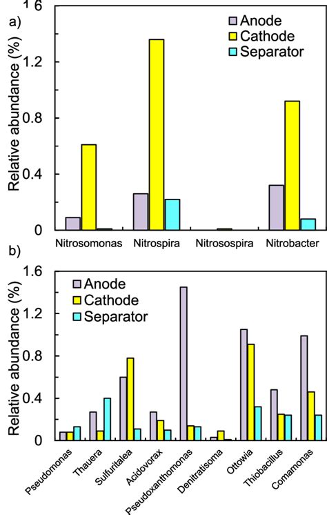 The Relative Abundance Of The Known Typical A Nitrifiers And B