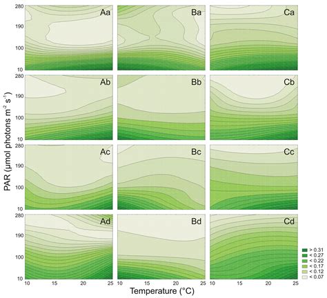 Bg Ecophysiological Characteristics Of Red Green And Brown Strains