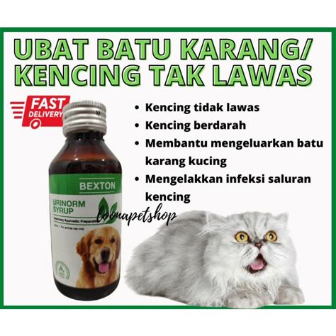 🐱 Ubat Batu Karangbuah Pinggang Untuk Kucing And Anjing 100ml 🇺🇸l