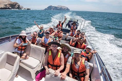 Visit The Sea Lions In Palomino Islands In Lima Peru Discover Hidden