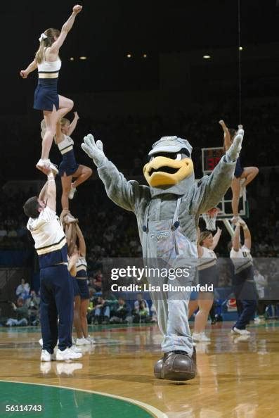 Scrappy, the mascot of the University of Chattanooga Mocs, performs ...