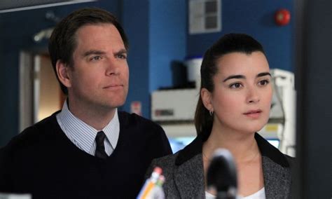 Inside NCIS stars Michael Weatherly and Mark Harmon’s feud - HIS Education