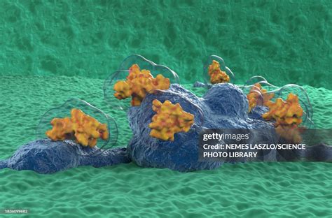 Neurotoxin Attacking Nerve Cells Illustration High-Res Vector Graphic ...