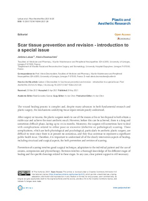 (PDF) Scar tissue prevention and revision -introduction to a special issue