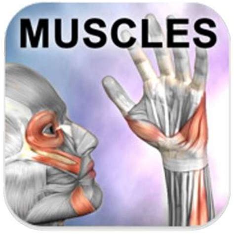 12 Best Anatomy Apps For Android And Ios Free Apps For Android And Ios