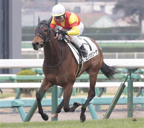 【中山5r・3歳1勝クラス】エリカカリーナが1馬身半差快勝 宮田調教師「1200メートルの方が向いているかも」 ライブドアニュース