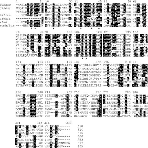 Comparison Of The Deduced Amino Acid Sequences Of Mtf From Various