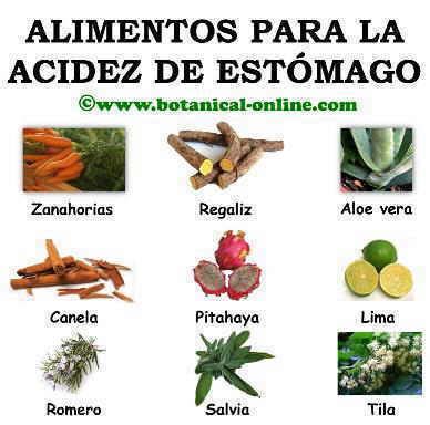 Tratamiento Natural De La Acidez De Estomago Botanical Online