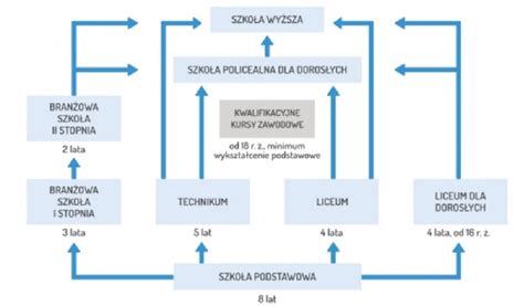 Doradca Zawodowy Doradztwo Zawodowe Dla Uczni W Szko Y