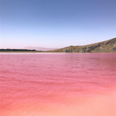 Pink Lake Water: Nature's Phenomenon - TooLacks