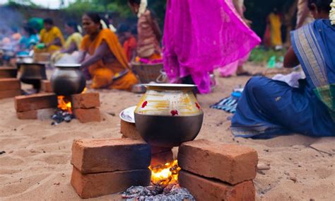 pongal festival tamil nadu  india tours