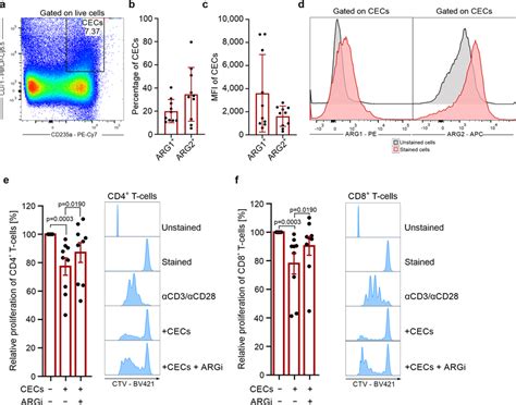 Cecs From Human Bone Marrow Express Arg1 And Arg2 And Suppress T Cells