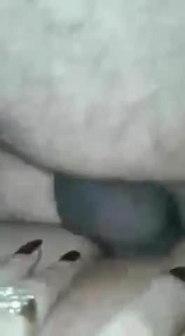 Gozando No Cuzinho DA Boneca Sem Camisinha Tranny Porn Bd XHamster