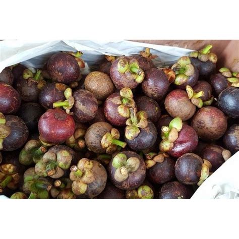 Jual Buah Manggis Kg Reguler Hemat Kargo Shopee Indonesia