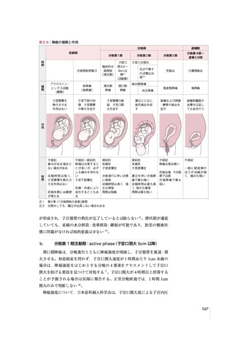 楽天ブックス 助産師基礎教育テキスト 2024年版 第5巻 分娩期の診断とケア 佐々木くみ子 9784818026155 本