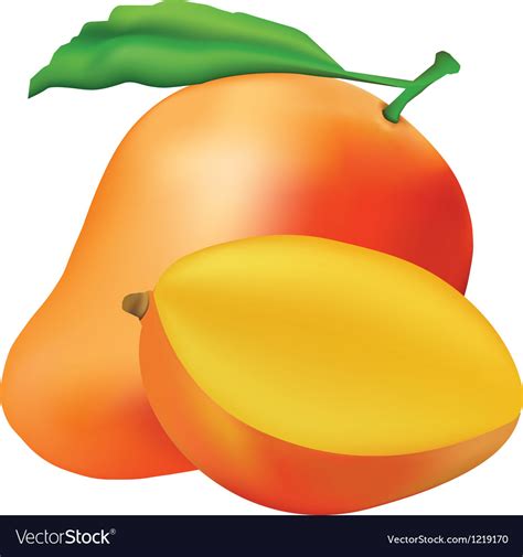 Mango Royalty Free Vector Image VectorStock