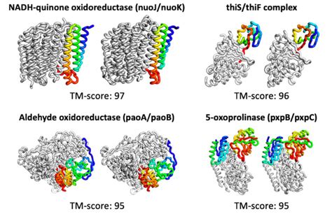 Predicting Protein Structures With Deep Learning Nvidia Technical Blog