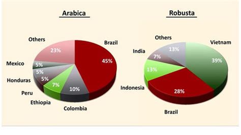 Aribca vs. Robusta Coffee Beans - What's the Difference