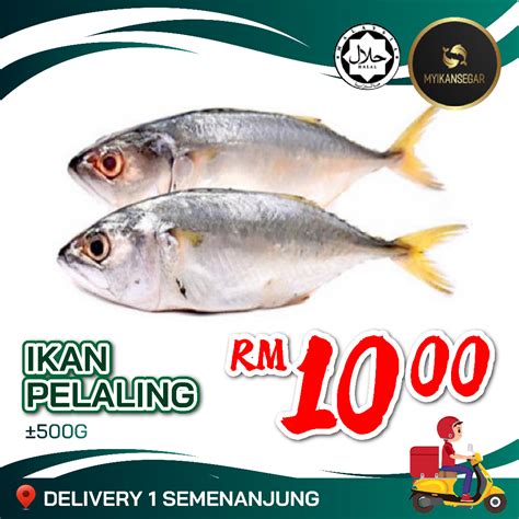 IKAN PELALING 500G 1KG IKAN PELALING FROZEN FOOD PELALINGIKAN FROZEN