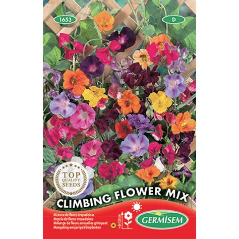 Mistura De Flores Trepadeiras Growit