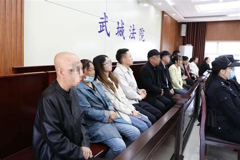 【以案释法】近百人被骗二百余万元！武城法院公开开庭审理一起跨省电信网络诈骗案 澎湃号·政务 澎湃新闻 The Paper