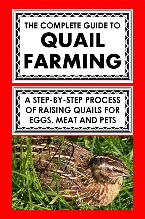 The Complete Guide To Quail Farming A Step By Step Process Of Raising Quails For Eggs Meat