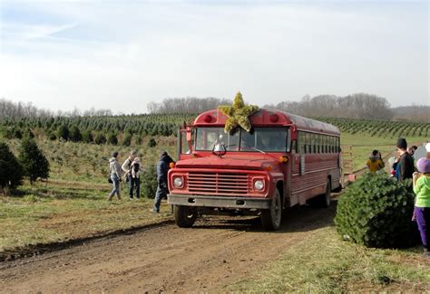 12 Best Christmas Tree Farms in Ohio - Haven Home Realty