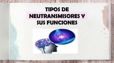 Tipos De Neurotransmisores Y Sus Funciones Evleyn Rosmery Orrala