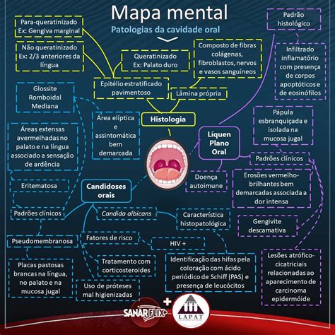 Mapa Mental Patologia Farmacologia I The Best Porn Website