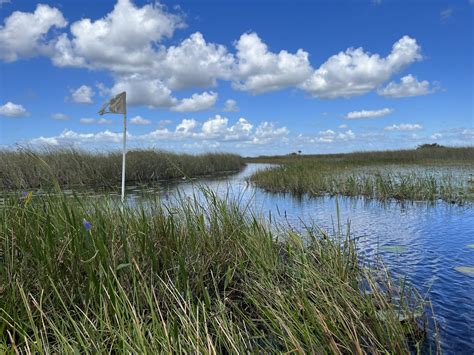 Loxahatchee National Wildlife Refuge: Wild spot to kayak, hike, bike