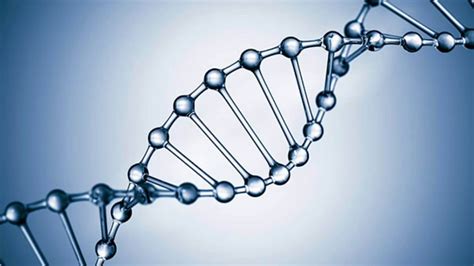 How To Become A Dna Analyst College Educated