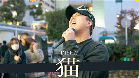 歌詞付100点満点の歌声 路上版歌唱王シンガー 猫 DISH 川崎路上ライブ 23 11 19by 髙橋一輝 YouTube