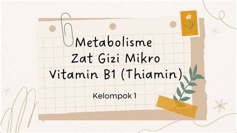 Metabolisme Vitamin B1 Tiamin Youtube