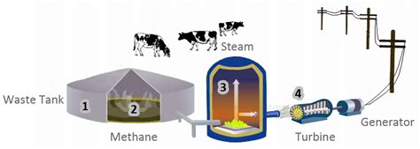 Mechanical Technology: Biomass Energy